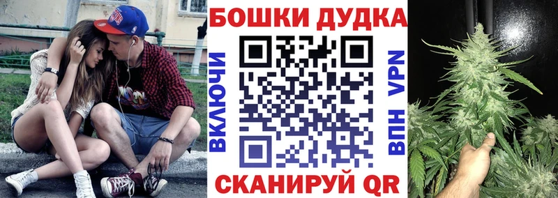 Конопля планчик  где можно купить   Сортавала 
